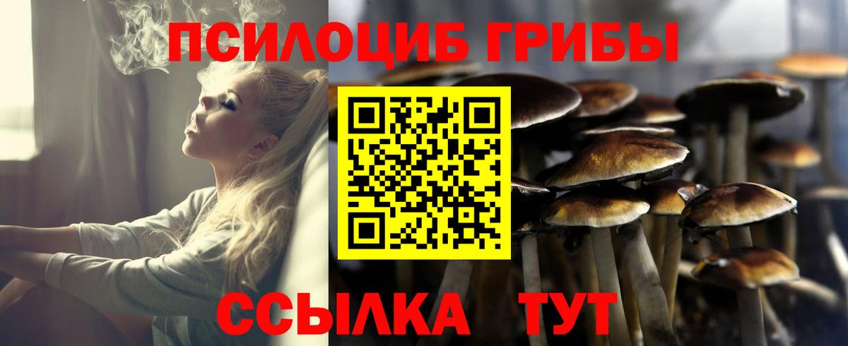 Псилоцибиновые грибы GOLDEN TEACHER Видное